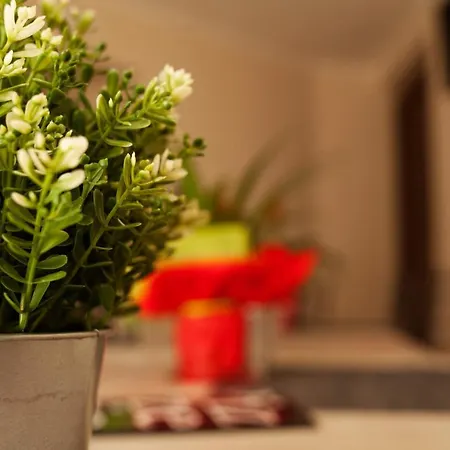 Lareginadisaba * Piazza Armerina