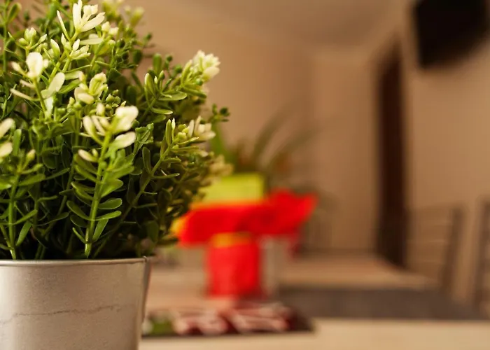 Lareginadisaba * Piazza Armerina